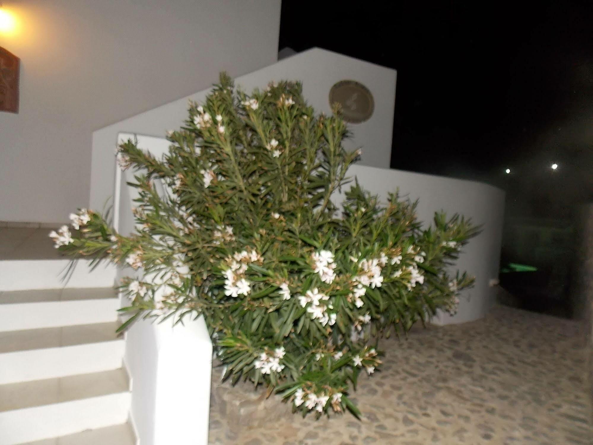 Lavarock Santorini เปริสซา ภายนอก รูปภาพ